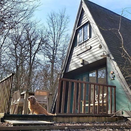 Woodpecker - Bungalow 29 Durbuy Exterior photo