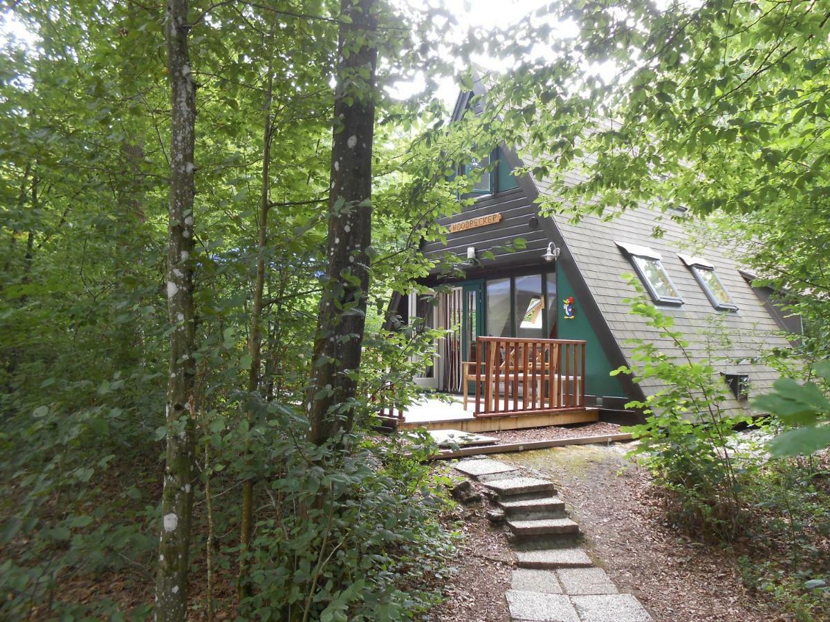 Woodpecker - Bungalow 29 Durbuy Exterior photo